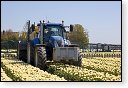 landbouw industrie hdr vee polder agrarisch agricultuur milieu klimaat stikstof co2